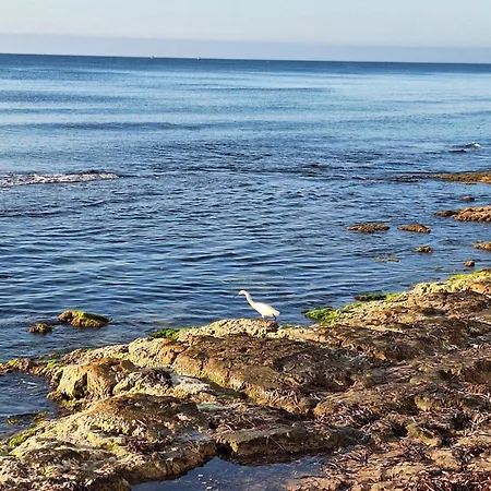 Sol De Moni Torrevieja